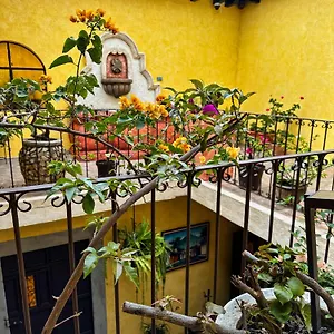 Hostel Maison Bougainvillea